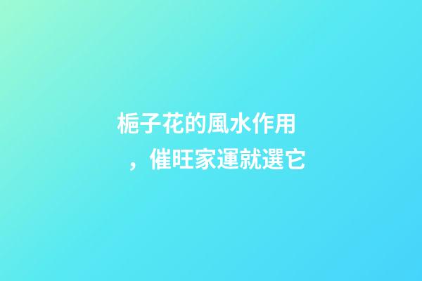 梔子花的風水作用，催旺家運就選它